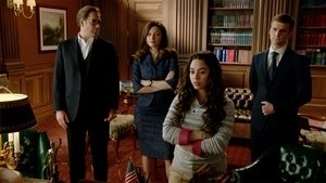 Bull: 1×15