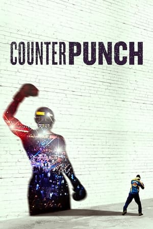 Poster Counterpunch 2017