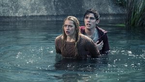 Warm Bodies (2013)