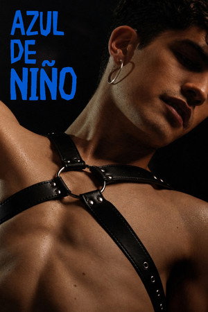 Blue for a Boy 14