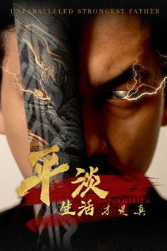 无双之最强老爸