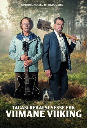 poster The Last Viking