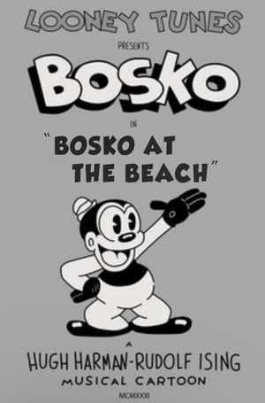 Image Bosko at the Beach