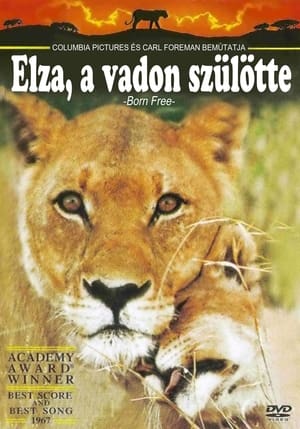 Poster Elza, a vadon szülötte 1966