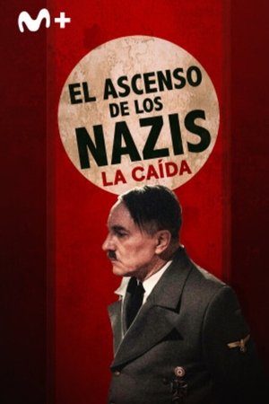 Rise of the Nazis