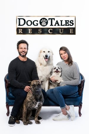 Poster Dog Tales Rescue 2018