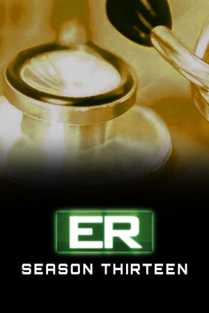 Saison 13