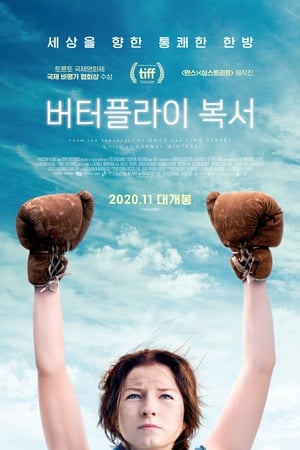 Poster 버터플라이 복서 2019
