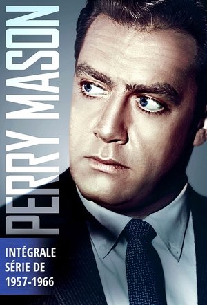 Poster Perry Mason Épisodes spéciaux La Formule magique 1993