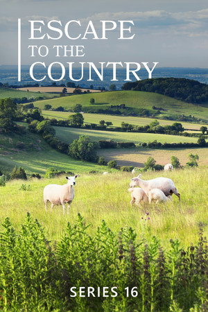 Escape to the Country