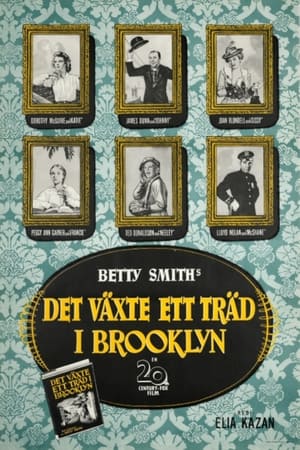 Poster Det växte ett träd i Brooklyn 1945