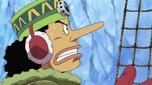 One Piece: Season 9 Episode 329