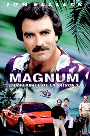 Magnum - Saison 3 - poster n°1