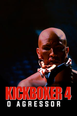 Poster Kickboxer 4: O Agressor 1994