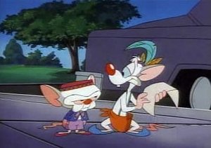 Pinky and the Brain Brainania