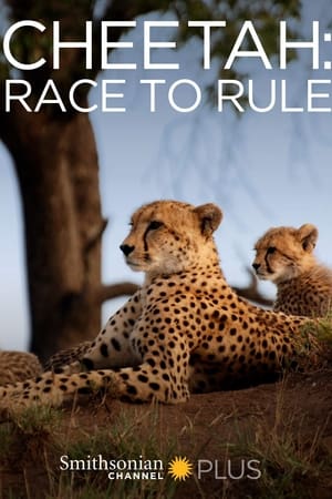 Poster Cheetah: Race to Rule 2014