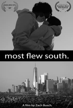 Poster Most Flew South (2020)
