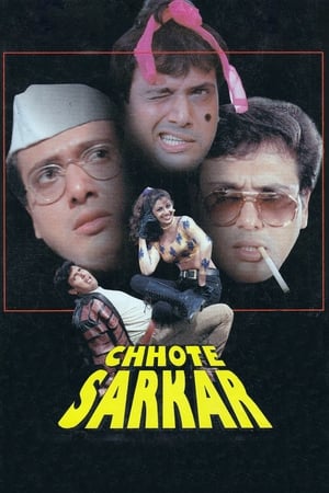 Chhote Sarkar poster