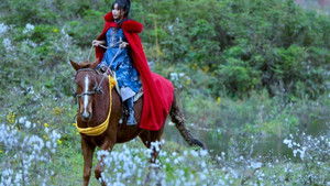 Episode 25 | StreamHub