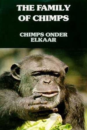 Image Chimps Onder Elkaar