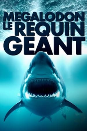 Image Mégalodon, le requin géant