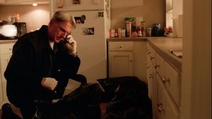 NCIS: 4×22
