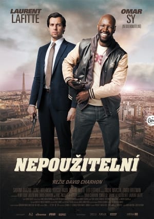 Poster Nepoužitelní 2012