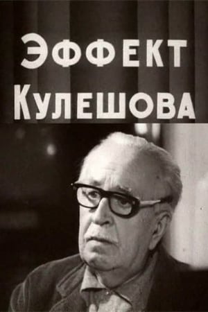The Kuleshov Effect poster