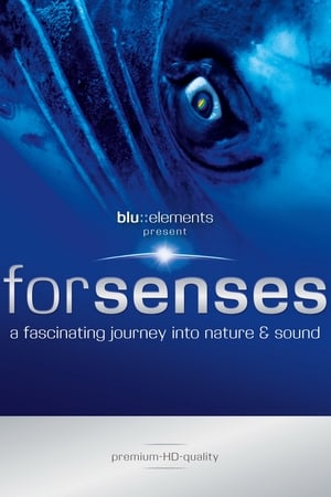 Poster Forsenses - A Fascinating Journey into Nature & Sound (2009)