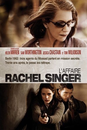 L’Affaire Rachel Singer (2010)