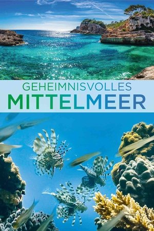 Image Erlebnis Erde: Geheimnisvolles Mittelmeer - Von Pottwalen und Wüstenfüchsen