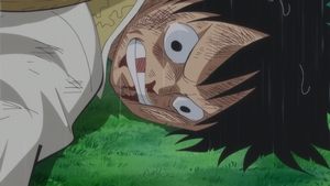 One Piece: Season 19 Episode 809