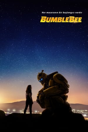 Bumblebee 2018