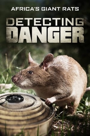 Poster Detecting Danger: Africa's Giant Rats (2019)