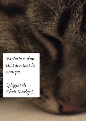 Nonton film Variations of a cat listening to music (Chris Marker plagiarism) (2024) terbaru sub indo Nonton film Variations of a cat listening to music (Chris Marker plagiarism) (2024) terbaru sub indo