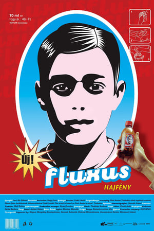 Poster Fluxus Hajfény 2004