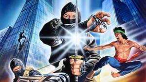 Ninja Fury