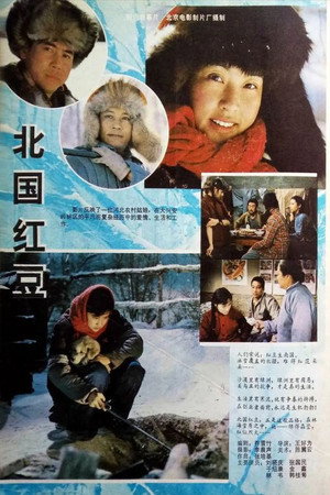 Bei guo hong dou 3