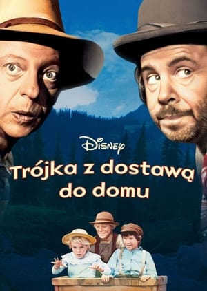 Trójka z dostawą do domu