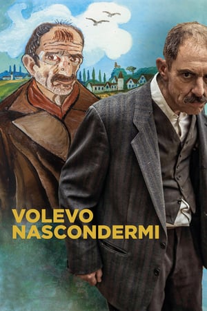 Poster Volevo nascondermi 2020