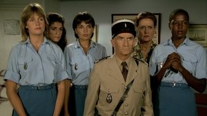 The Gendarme and the Gendarmettes film complet