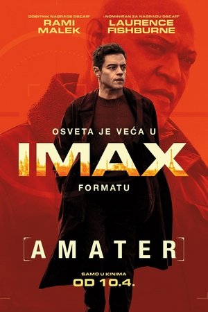 poster The Amateur