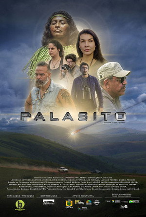 Pallasite 3