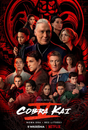 Poster Cobra Kai 2018