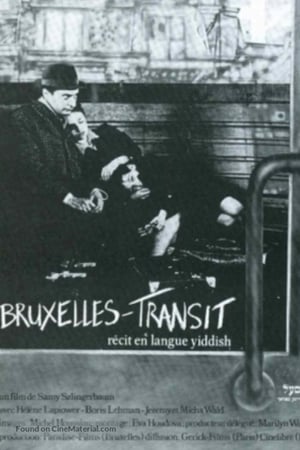 Poster Brussels-Transit (1982)