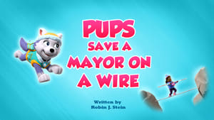 Pups Save a Mayor on a Wire