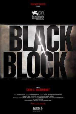 Poster Black Block 2011