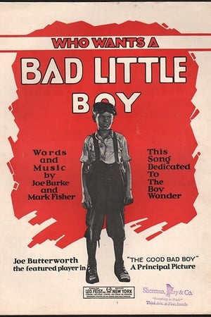 Poster The Good Bad Boy (1924)