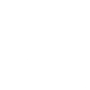 El padrino II