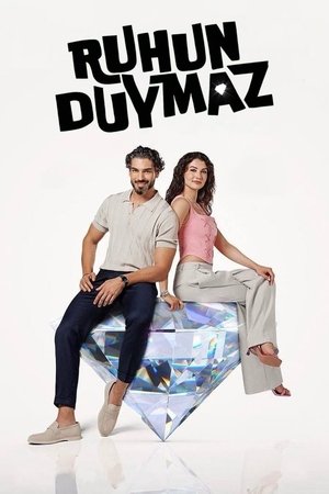 Poster Ruhun Duymaz Seizoen 1 2023